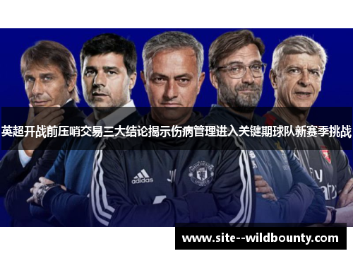 英超开战前压哨交易三大结论揭示伤病管理进入关键期球队新赛季挑战 英超开战前压哨交易三大结论揭示伤病管理进入关键期球队新赛季挑战