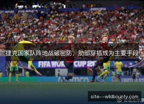 捷克国家队阵地战破密防，肋部穿插成为主要手段